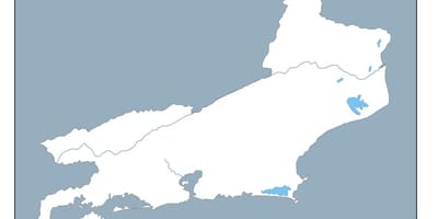 지도 리우데자네이루의 벡터